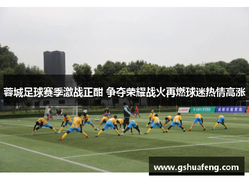蓉城足球赛季激战正酣 争夺荣耀战火再燃球迷热情高涨